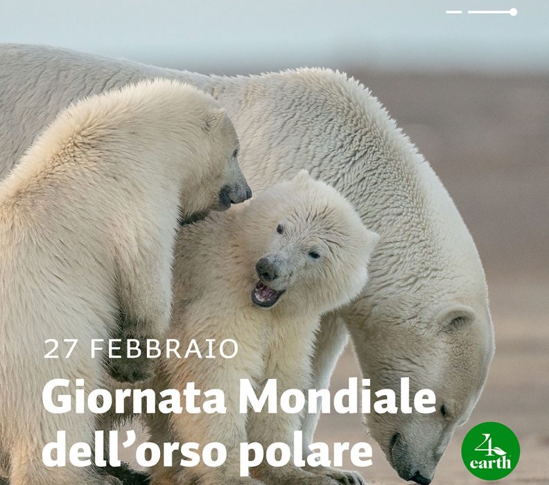 27 febbraio, Giornata Mondiale dell’orso polare!